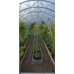 EcoSlider ES 3