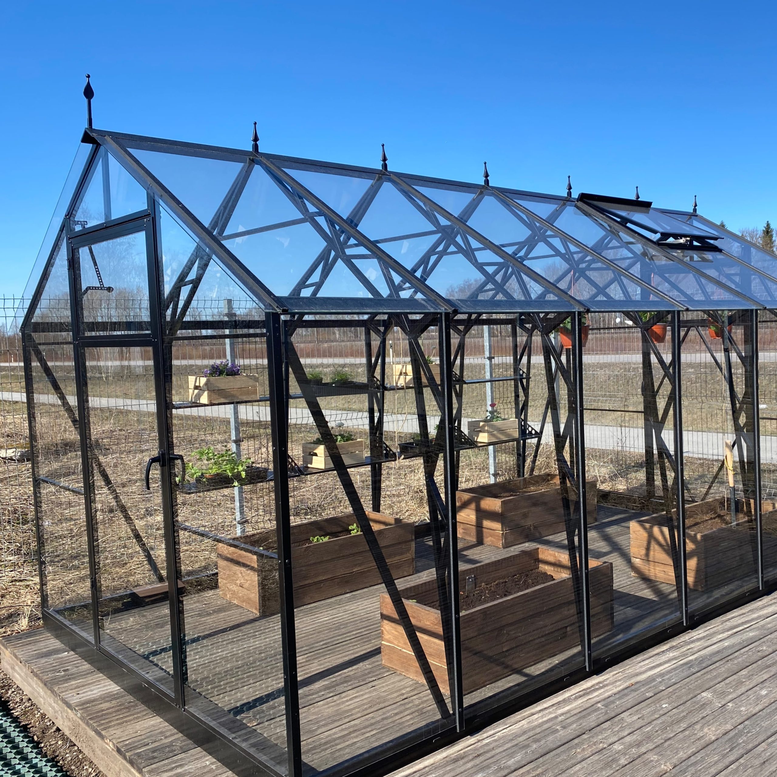 Декоративные пики House Lux — изображение 4