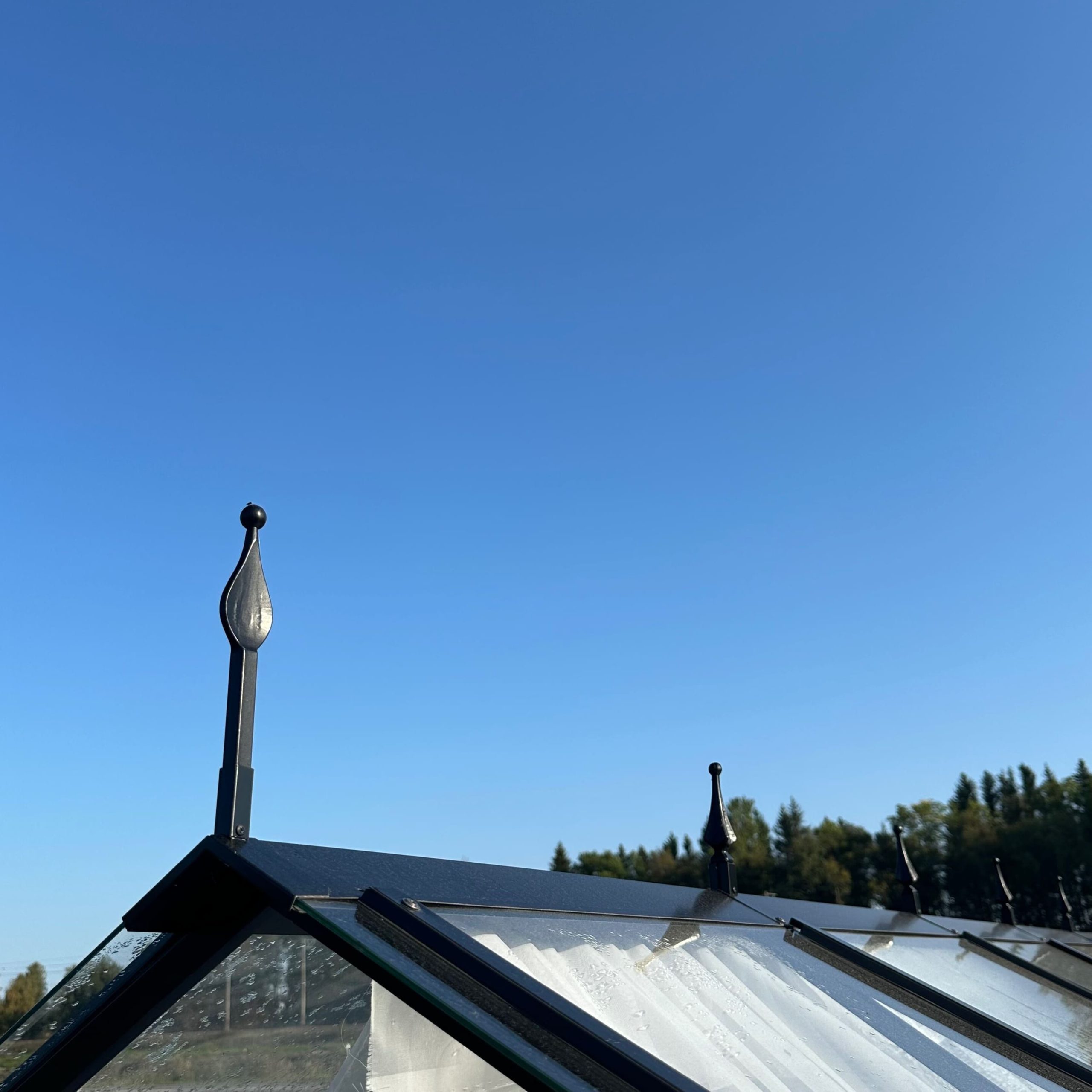 Декоративные пики House Lux — изображение 5