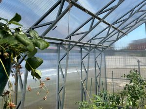 Комплект для подвязки растений House