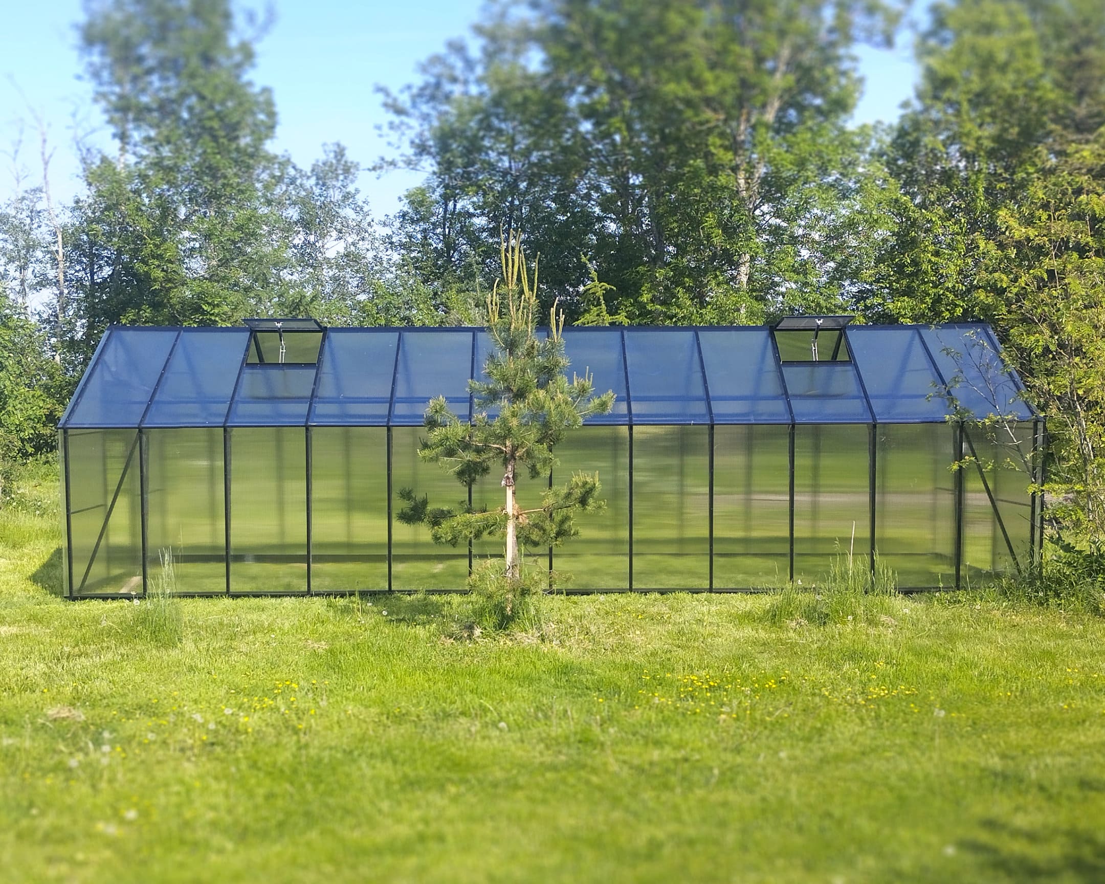 Ecoslider House Lux gable roof greenhouse 2х8.3m W4 — изображение 8