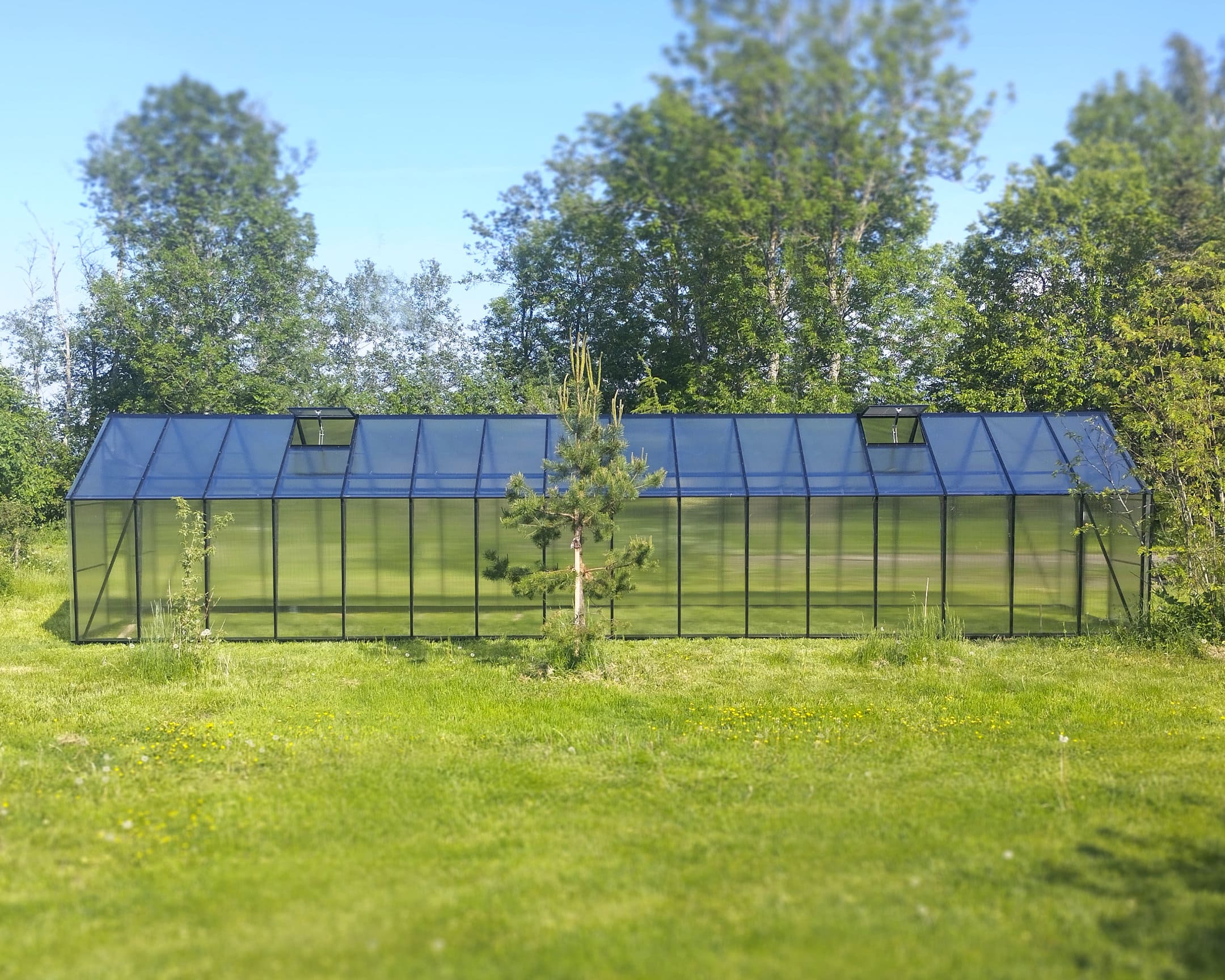 Ecoslider House Lux gable roof greenhouse 3х11.1m W5 — изображение 6