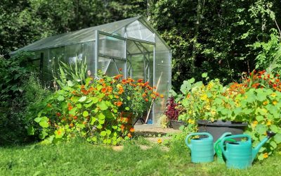 11 EH2.0x4.13x6 Anete Lomp 1 cut