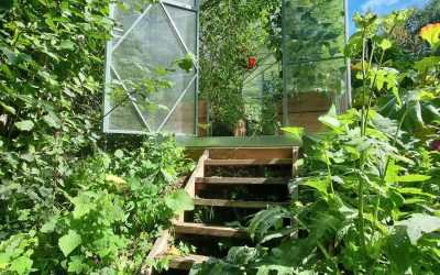 11 EH2.0x4.13x6 Anete Lomp 2