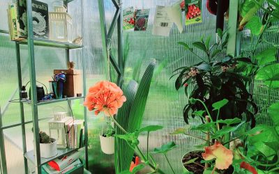 11 EH2.0x4.13x6 Anete Lomp 3