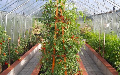 12-EH4.0x8.35m-Kathlin-Uustal-2