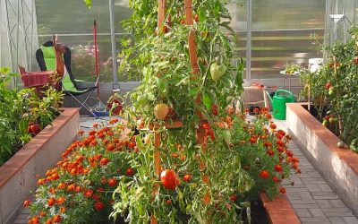 12-EH4.0x8.35m-Kathlin-Uustal-4