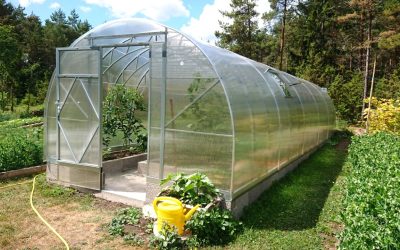 14 ES3.5x10x6 Maarja Nõmm