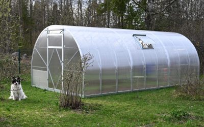 20 ES3.0x6x6 Uno Rootsmaa