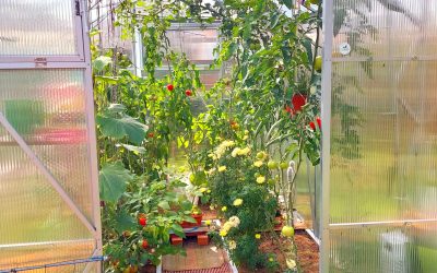 33-EH2.0x3.11-Kaja-Llinnas-1