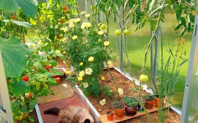 33-EH2.0x3.11-Kaja-Llinnas-2