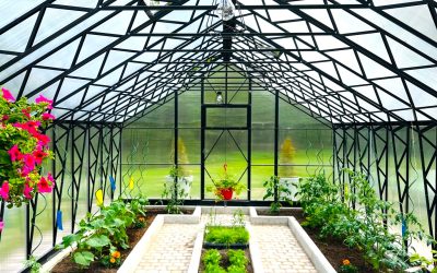 EH4x8.3-original-2-light