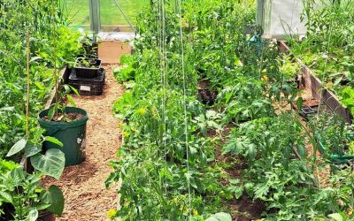 Копия 05_Ecosliider-6х4-2.jpg