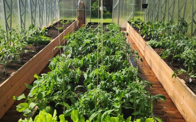 Копия 09-EH3.5x8.35-2024-05-27-2