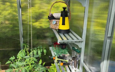 Копия 09-EH3.5x8.35-2024-05-27-6